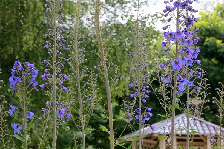 Кашин - город русского сердца. Часть седьмая. Вознесенский кафедральный собор