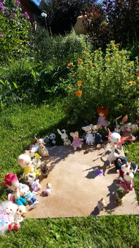 Большая свадьба Панг-Панга и Джулии