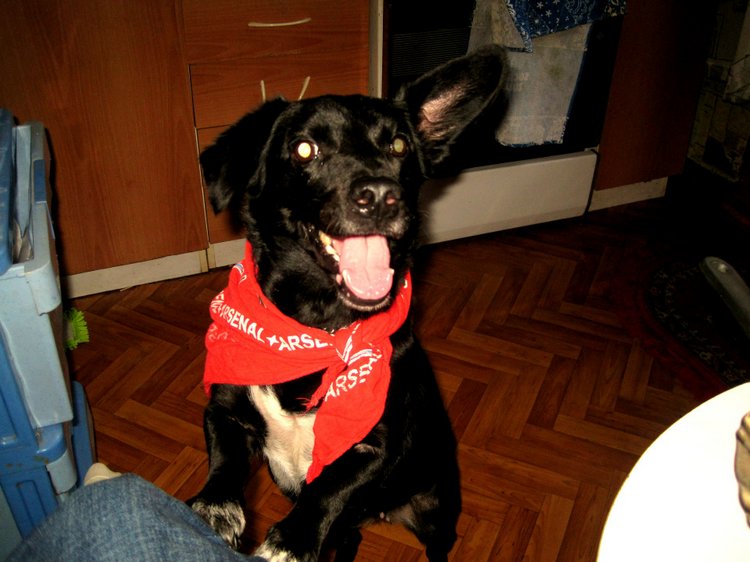 Маш новенький малыш Ванечка. Коллекционная кукла Tinneke Steensens | Бэйбики Маш новенький малыш Ванечка. Коллекционная кукла Tinneke Steensens (фото 6)