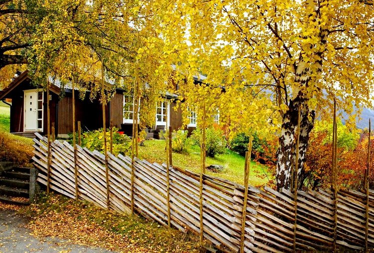 Красотка-осень — Болталка и разговоры обо всем: жизнь