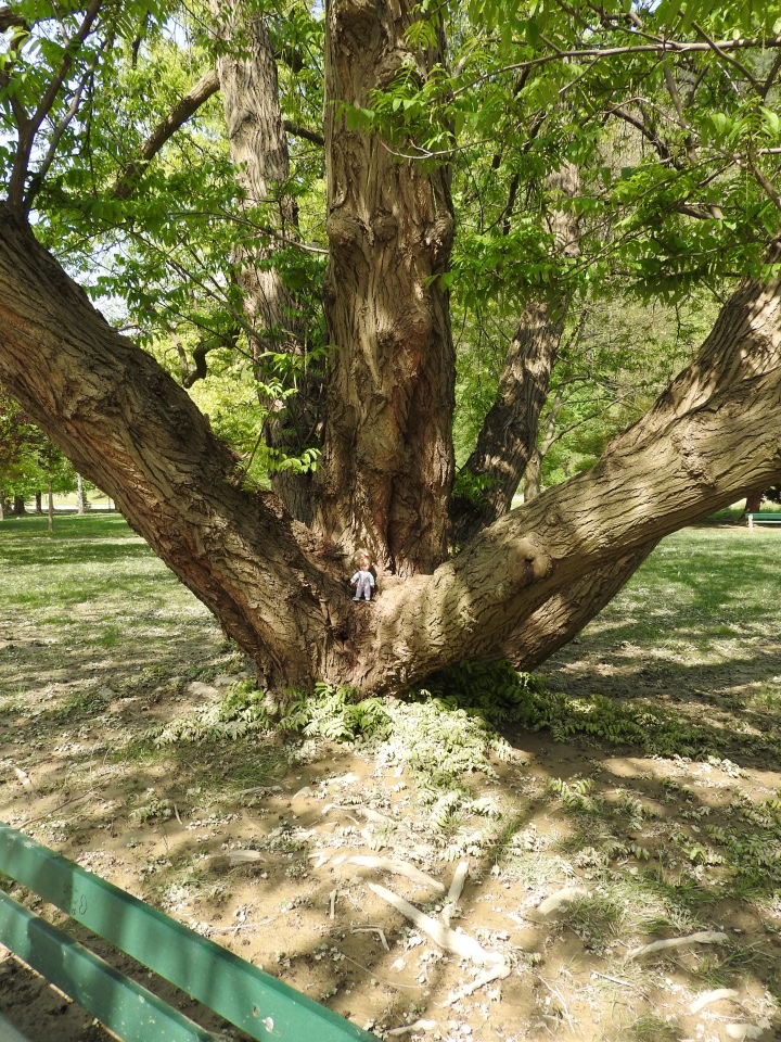 Словения, Светланка и маленький «герой» в одном ботинке