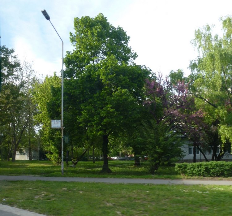 Немного о Белграде, Сербия