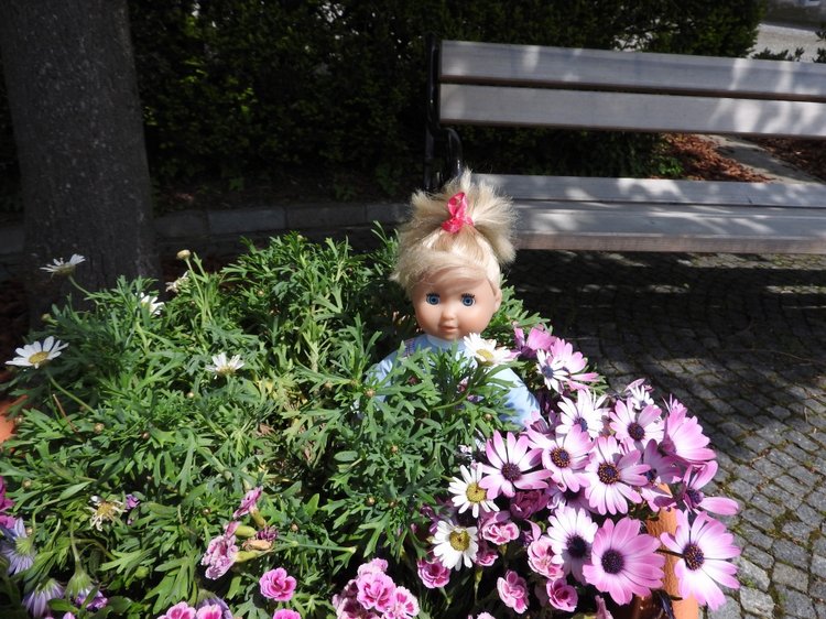 Словения, Светланка и маленький «герой» в одном ботинке