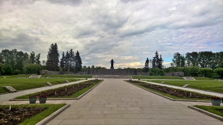 Я не участвую в войне — она участвует во мне