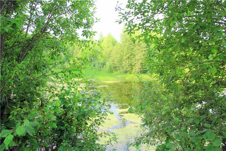 Тверской Водопад — Туризм и путешествия: фотоотчеты из поездок