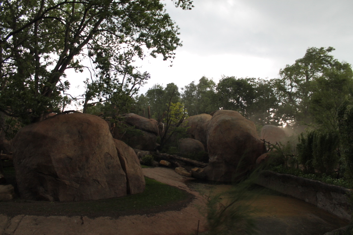 По Германии: зоопарк Лейпцига, часть 3