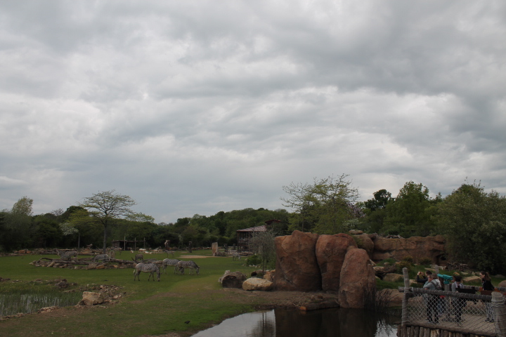 По Германии: зоопарк Лейпцига, часть 1