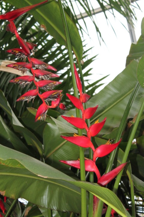 По Германии: зоопарк Лейпцига, часть 2