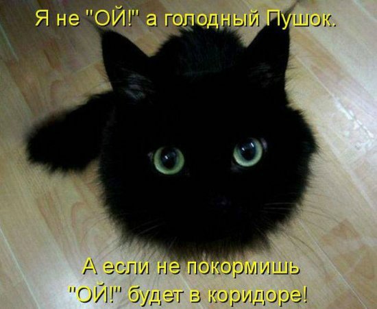 Просто добавь улыбку или пятничный девиз