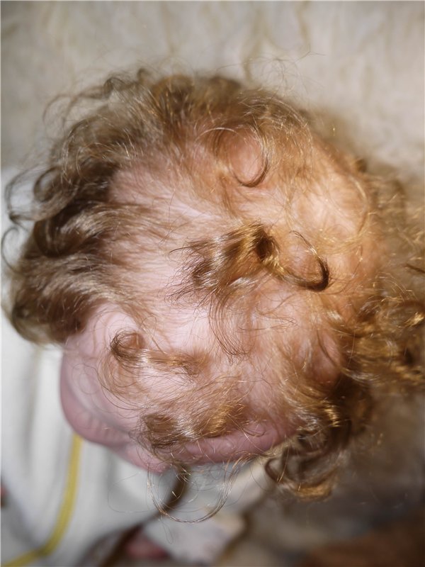 Моя малышка Лола, кукла реборн Натальи Фединой, Baby-Zest (фото 9)