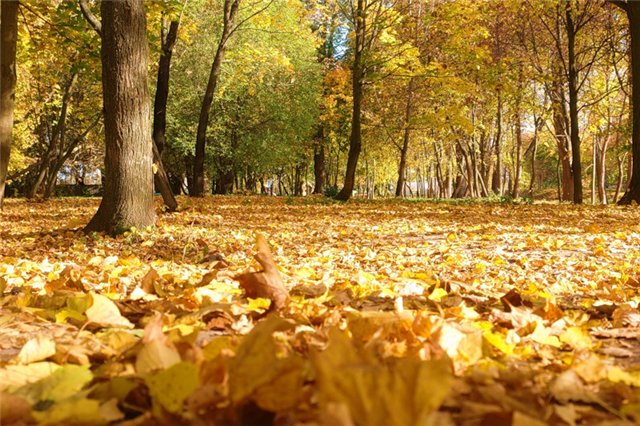 Новые платьица "Калинка-малинка" для Ханночек Gotz