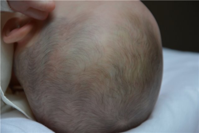 Кукла реборн Элис - Лизонька (фото 4)