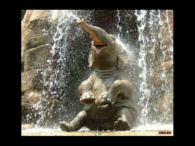 10 секретов счастья или Оксана,все у нас хорошо!Для poklon1979