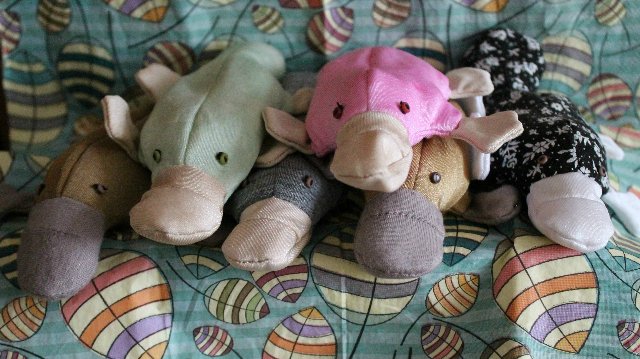 Утконосы для поднятия настроения