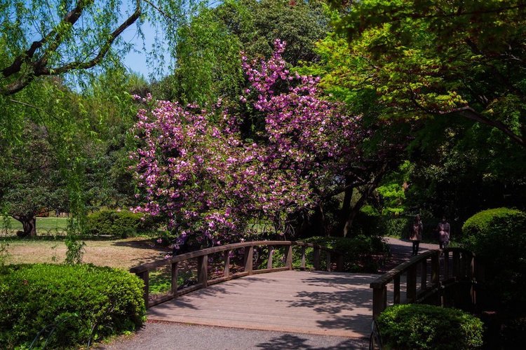 Япония моими глазами (часть 3. Китакюсю и Токио.)