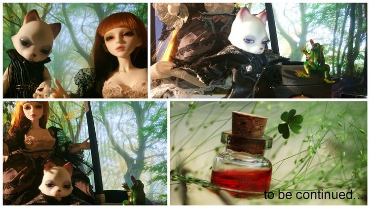 Колдовское зелье — Куклы Dollmore (Доллмор): корейские BJD (БЖД)
