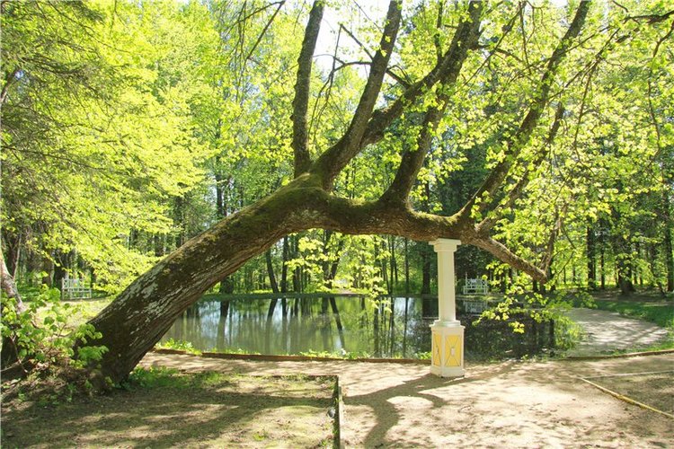 Субботний вояж. Часть вторая | Бэйбики Субботний вояж. Часть вторая