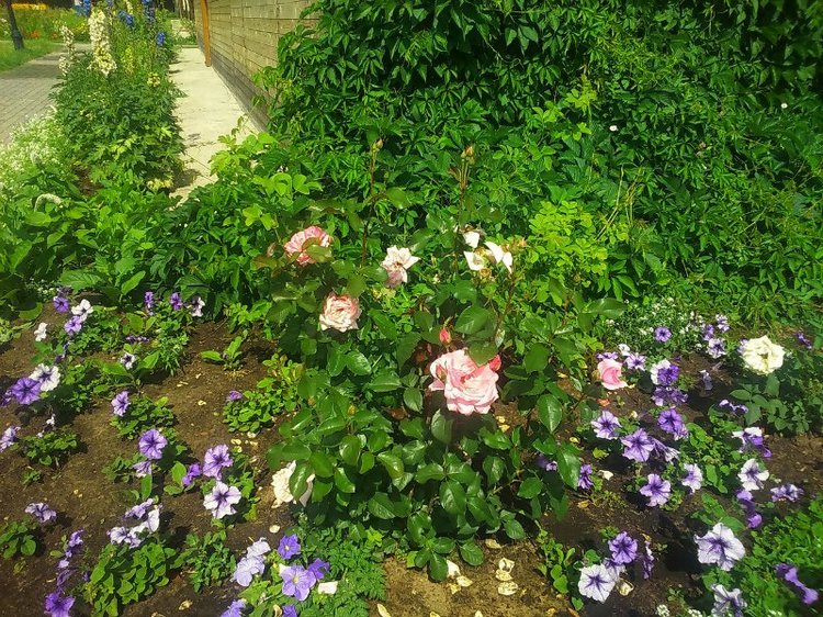 Воткинск — родина гения музыки Петра Ильича Чайковского. Часть 1