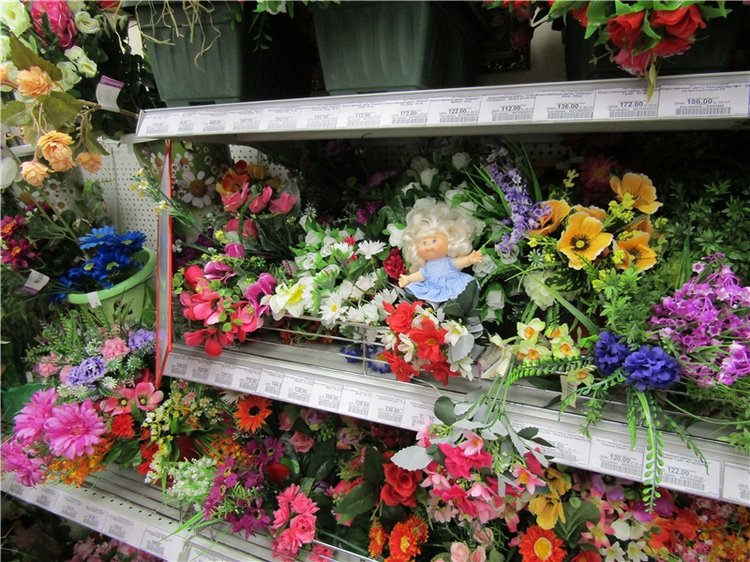 Мы с капусткой не грустили - хобби-маркет посетили