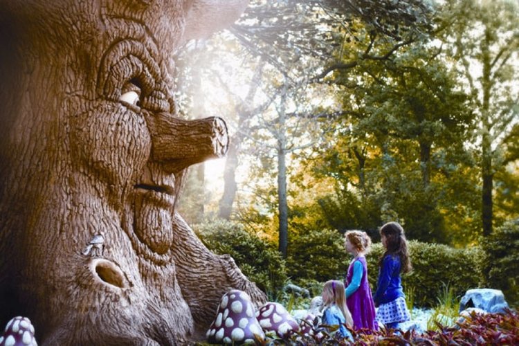 Волшебная кисть Антона Францискуса Пика