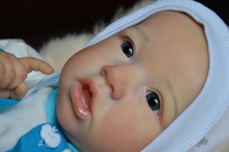 Еще одна Саксия... Еще один пацанчик (фото 3)