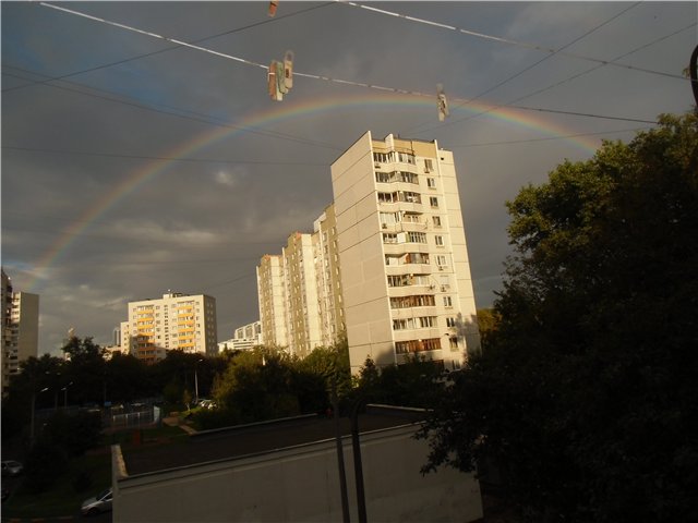 Кани - радужный дракончик