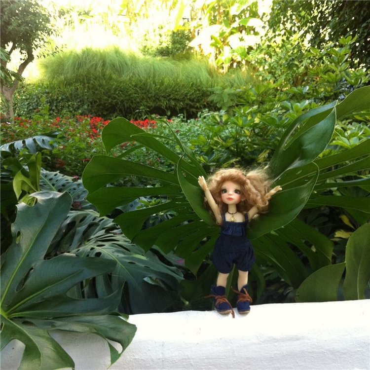 Большое путешествие маленькой девочки. Kaye Wiggs, Nutmeg