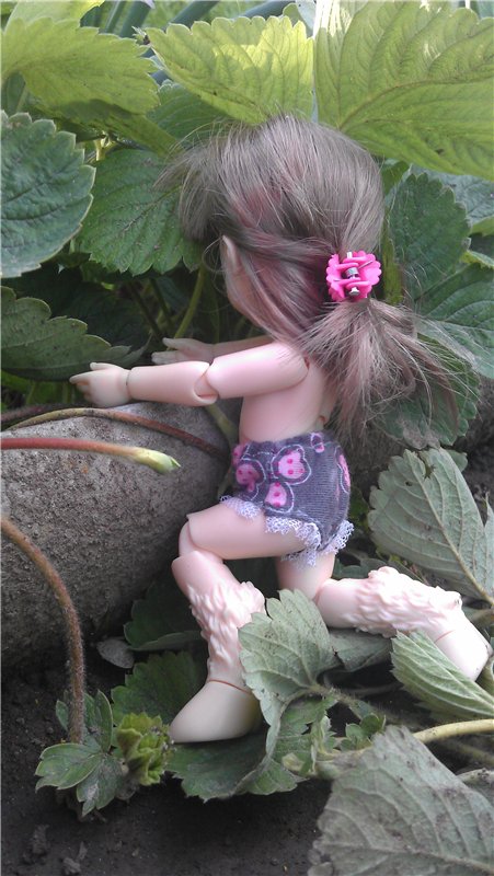 Немного лета в холода — Куклы Dollzone (Доллзон): BJD (БЖД)