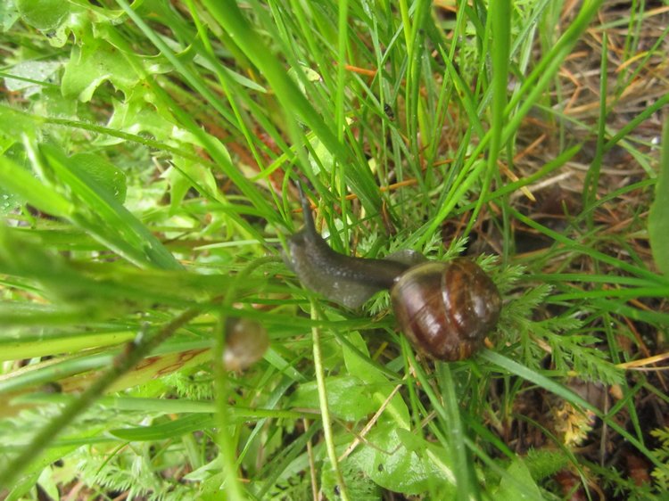 Назад в прошлое | Бэйбики Назад в прошлое — Болталка и разговоры обо всем: жизнь