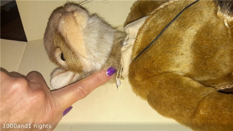 Unboxing коллекционной куклы Ардид от компании Lamagik S.L (фото 9)