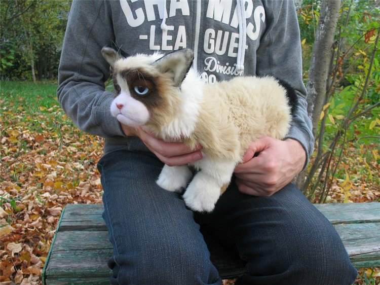 Grumpy cat — Текстильные игрушки и примитивы: кофейные (фото 2)