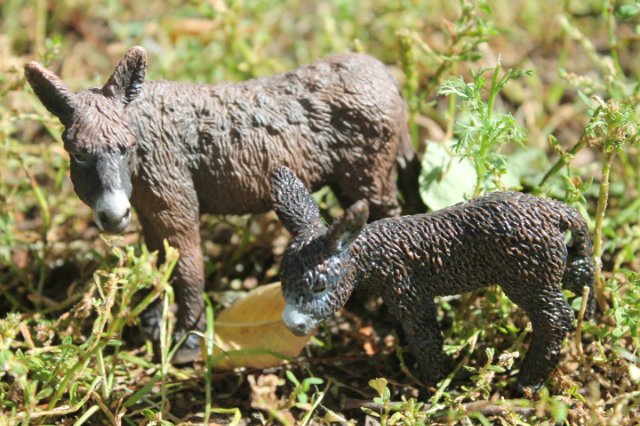 Раз, два, три, четыре, пять... Вышел ослик погулять | Бэйбики Раз, два, три, четыре, пять... Вышел ослик погулять (фото 8)