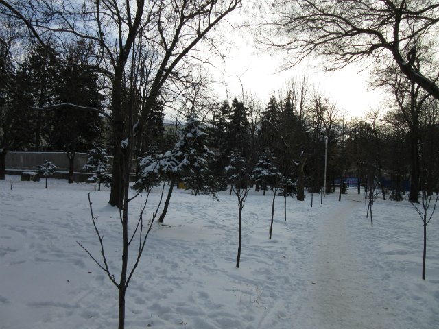 Чем бы заняться юному лорду 30 декабря