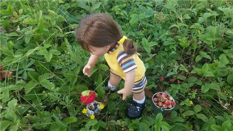 Земляничный день — Домашние коллекции кукол: фото собраний