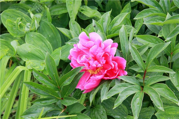 Кашин - город русского сердца. Часть седьмая. Вознесенский кафедральный собор