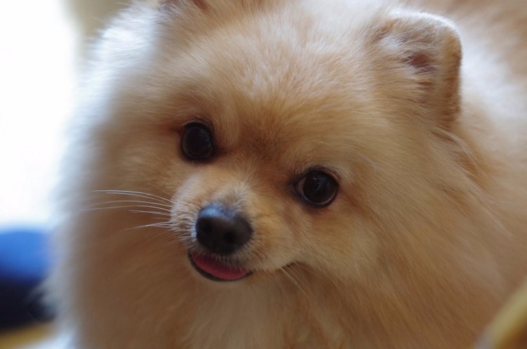 Поговорим о НЕкукольных увлечениях (фото 2)