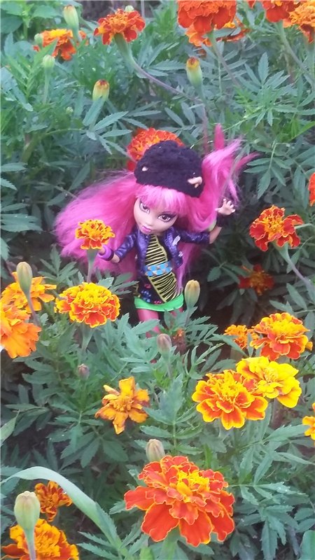 В гостях у бабушки ))) или яркое лето 2016 с девочками от Монстр Хай | Бэйбики В гостях у бабушки ))) или яркое лето 2016 с девочками от Монстр Хай