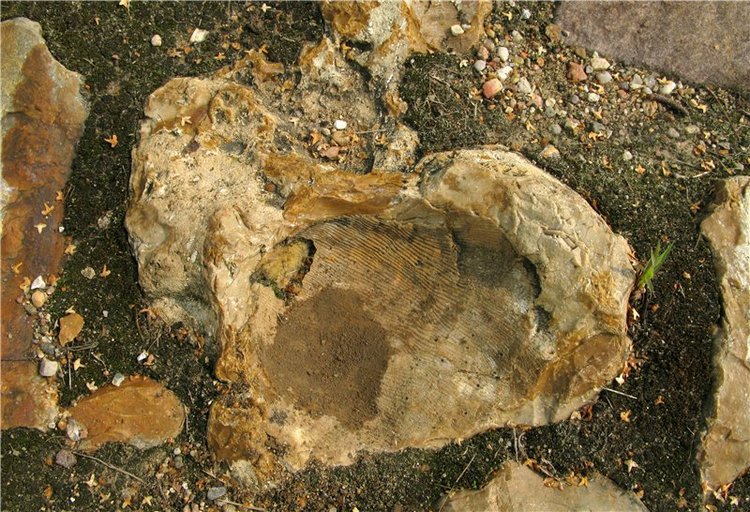 Старицкий православный фотофестиваль. Старицкий Свято-Успенский монастырь (фото 7)