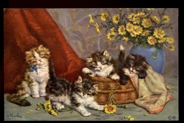 Пекрасное III - коротенько о котиках Merlin