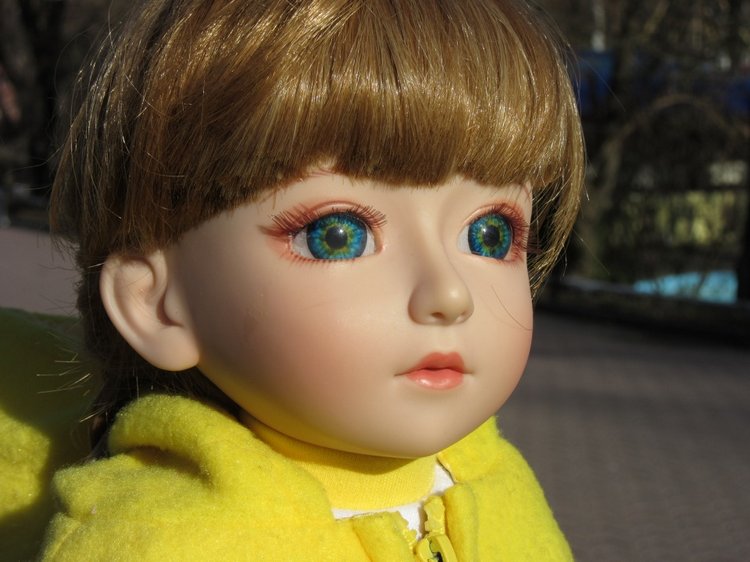 Утренняя прогулка в парке Горького с Соломоном и Анхен, или О сложностях гуляния с собакой и куклой одновременно