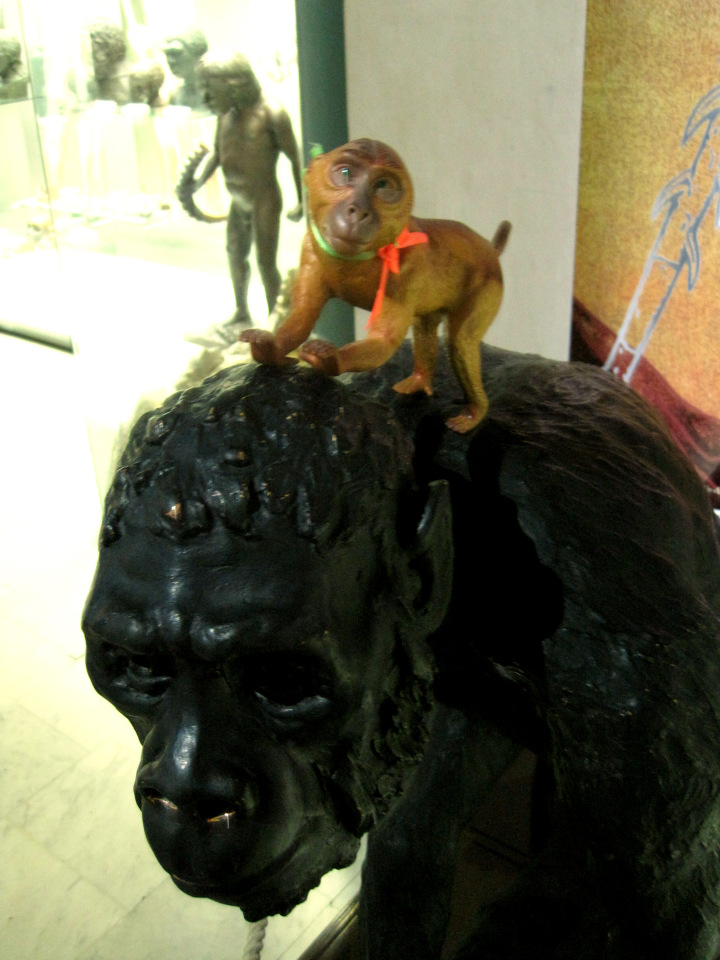 День в музее. Анжела в Государственном Дарвиновском музее