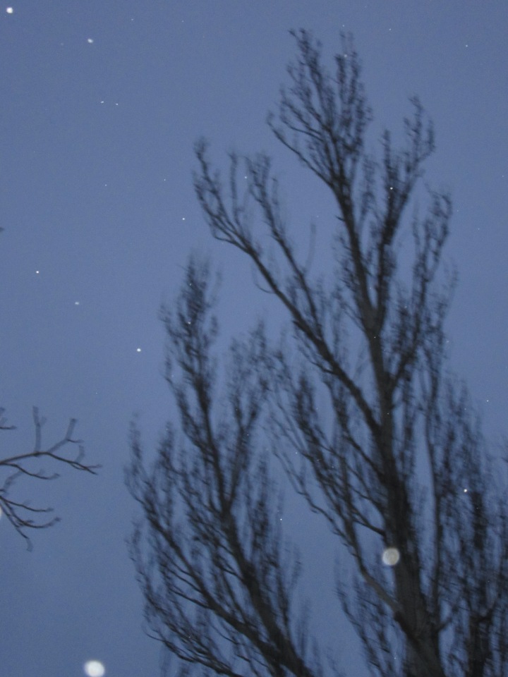 Зимушка моя — Куклы Resinsoul (Резинсоул) и Bobobie: BJD (БЖД) (фото 2)