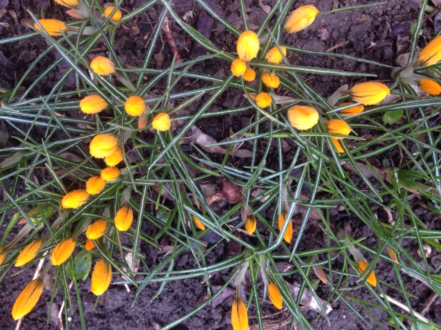 Фотосессия куклы ГДР Косолапки в Аптекарском огороде (фото 2)