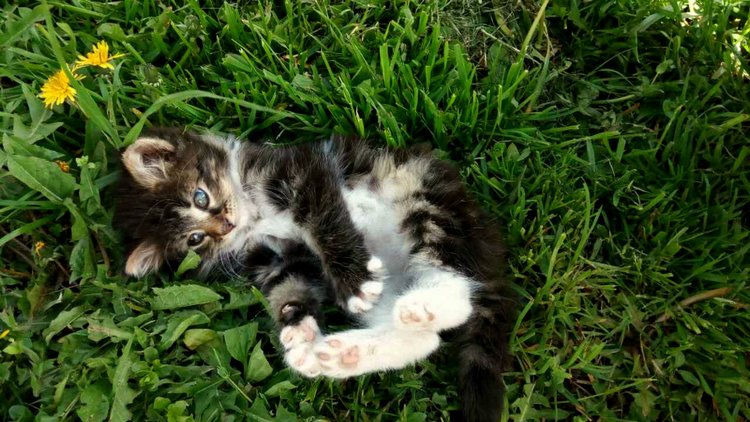 Кукла Нина. Мой подарок от подруги