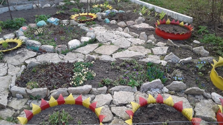 Природа Пскова: из весны в лето