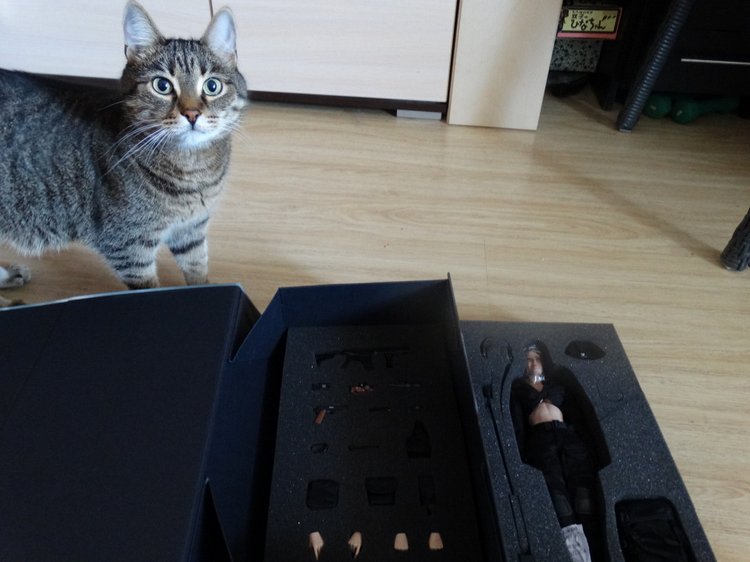 Энжи приехала! Шарнирная кукла от VERYCOOL (фото 6)