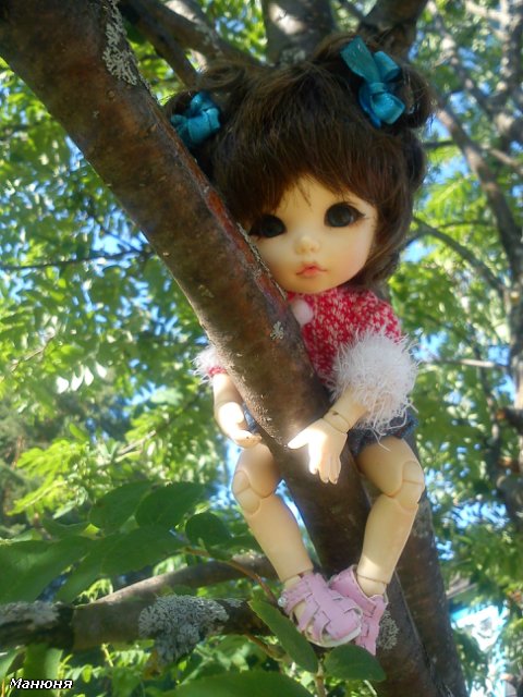 Манюнькино лето-1 PukiFee Ante