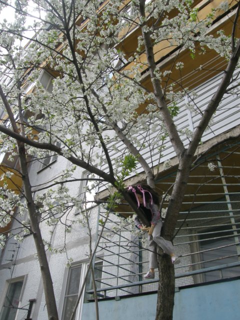 Немного весны. Иланка на прогулке