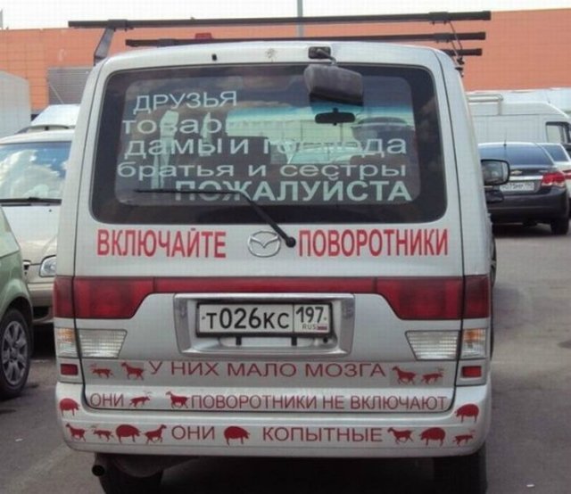 Курс на позитив) или пилюля хорошего настроения на весь день (гарантия!) | Бэйбики Курс на позитив) или пилюля хорошего настроения на весь день (гарантия!)