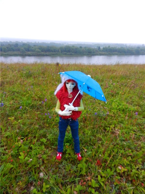 Сборная солянка (Любимые БЖД) (фото 6)